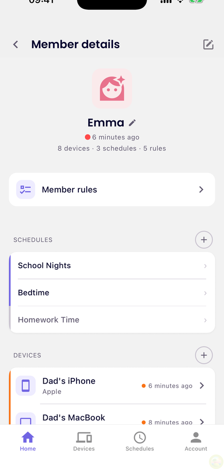 Member details — Member rules sits at the top